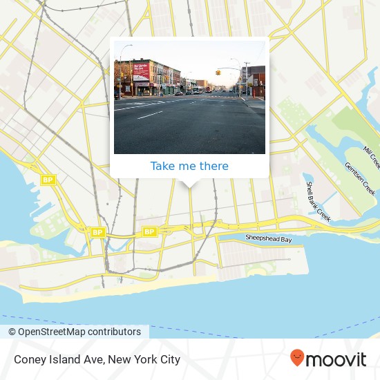 Coney Island Ave, Brooklyn, NY 11235 map