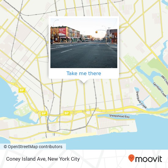 Coney Island Ave, Brooklyn, NY 11223 map