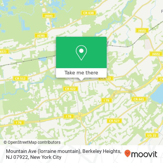 Mountain Ave (lorraine mountain), Berkeley Heights, NJ 07922 map