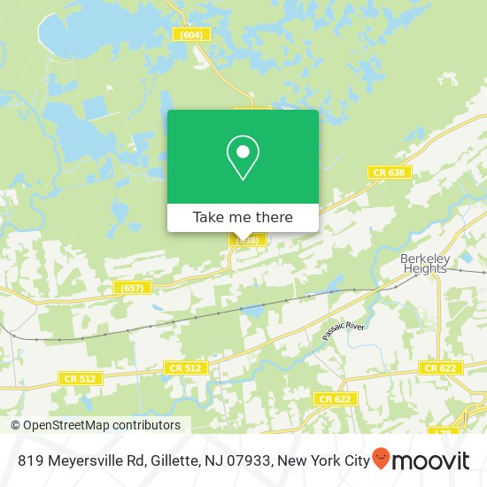 Mapa de 819 Meyersville Rd, Gillette, NJ 07933