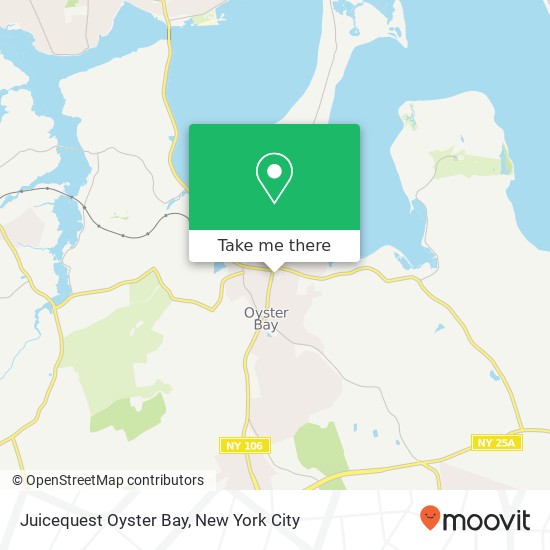 Mapa de Juicequest Oyster Bay, 127 South St