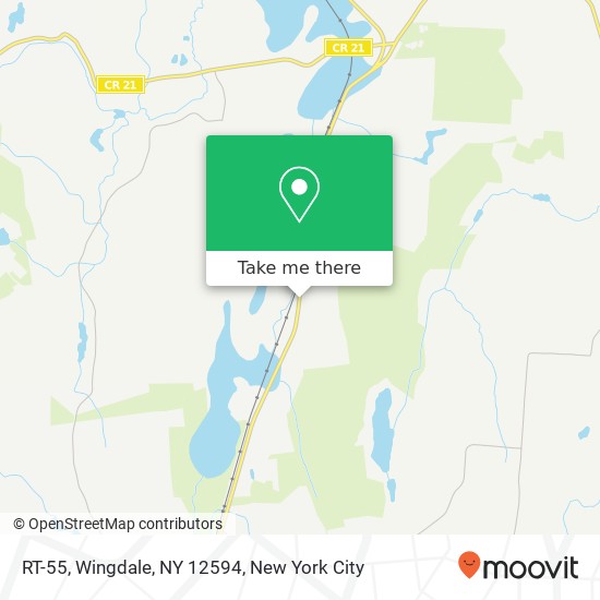 RT-55, Wingdale, NY 12594 map