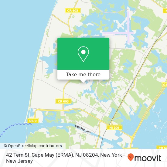 Mapa de 42 Tern St, Cape May (ERMA), NJ 08204