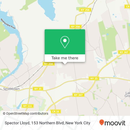Spector Lloyd, 153 Northern Blvd map