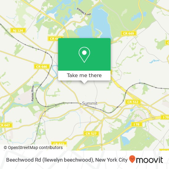 Beechwood Rd (llewelyn beechwood), Summit, NJ 07901 map