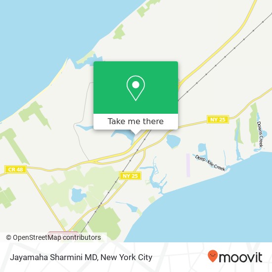 Jayamaha Sharmini MD, 243 Maiden Ln map
