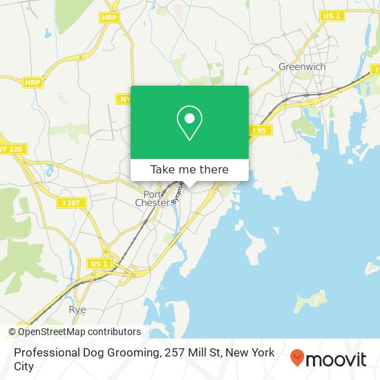 Professional Dog Grooming, 257 Mill St map