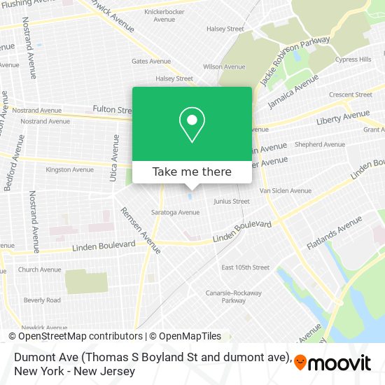 Dumont Ave (Thomas S Boyland St and dumont ave) map