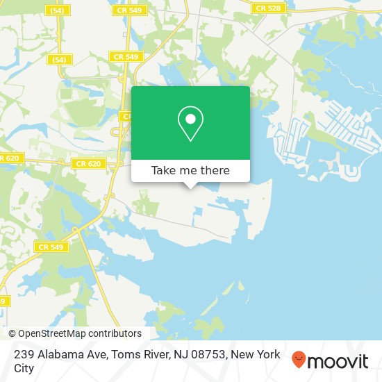 239 Alabama Ave, Toms River, NJ 08753 map