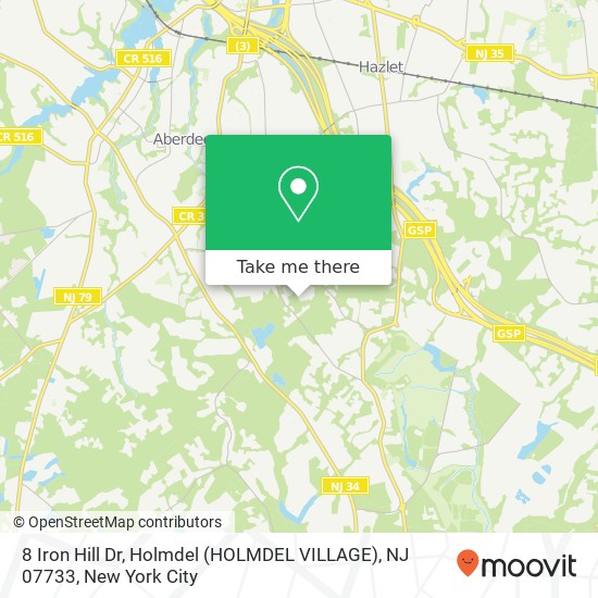 8 Iron Hill Dr, Holmdel (HOLMDEL VILLAGE), NJ 07733 map