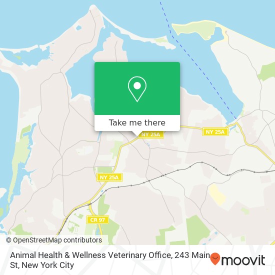 Mapa de Animal Health & Wellness Veterinary Office, 243 Main St