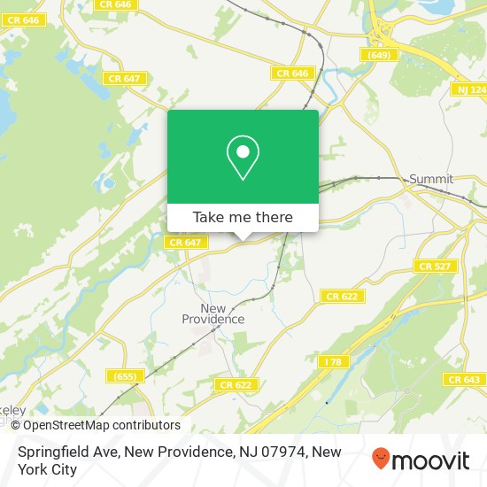 Mapa de Springfield Ave, New Providence, NJ 07974