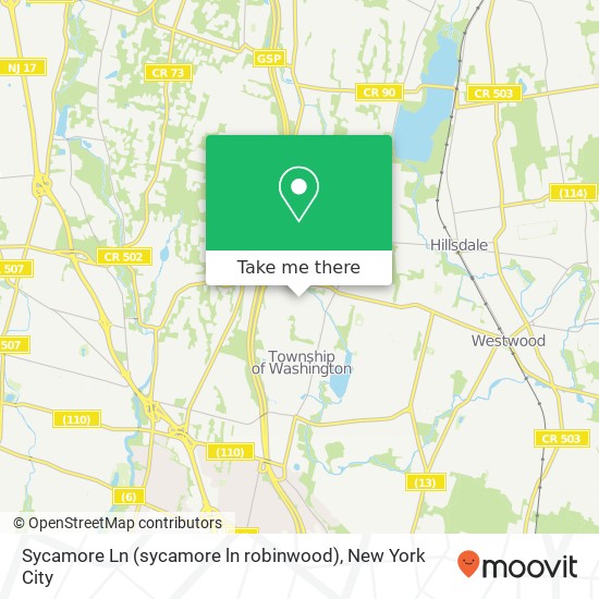 Sycamore Ln (sycamore ln robinwood), Washington Twp, NJ 07676 map