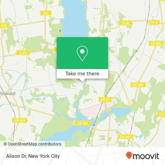 Mapa de Alison Dr, River Vale Twp (OLD TAPPAN), NJ 07675