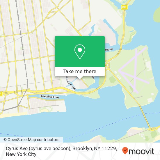 Cyrus Ave (cyrus ave beacon), Brooklyn, NY 11229 map