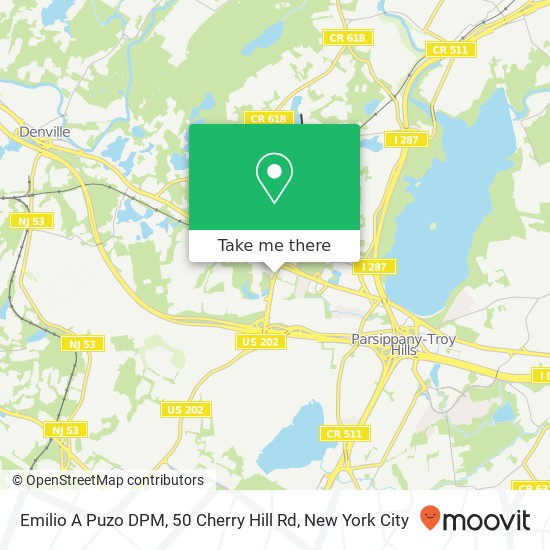 Emilio A Puzo DPM, 50 Cherry Hill Rd map