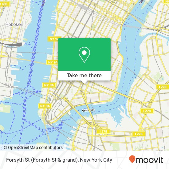 Forsyth St (Forsyth St & grand), New York, NY 10002 map