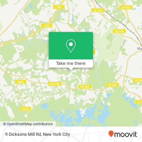 Mapa de 9 Dicksons Mill Rd, Green Village, NJ 07935