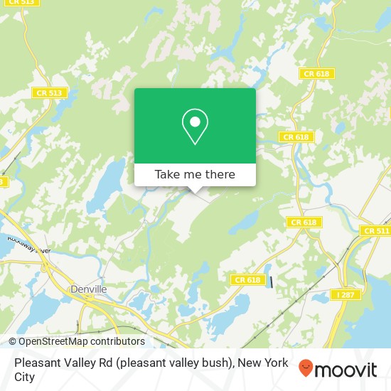 Pleasant Valley Rd (pleasant valley bush), Denville, NJ 07834 map