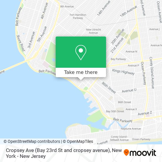 Mapa de Cropsey Ave (Bay 23rd St and cropsey avenue)