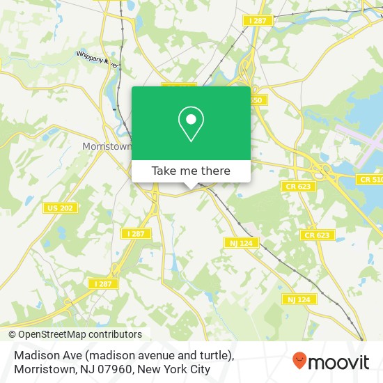 Mapa de Madison Ave (madison avenue and turtle), Morristown, NJ 07960