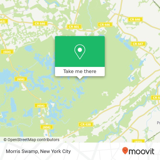 Mapa de Morris Swamp