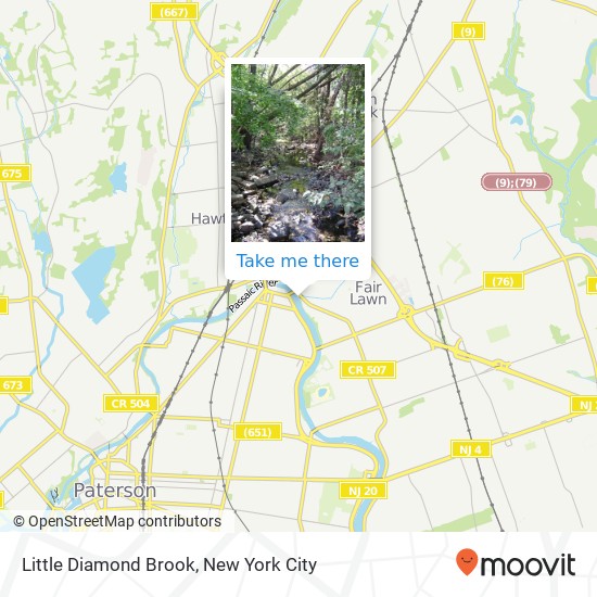 Little Diamond Brook map