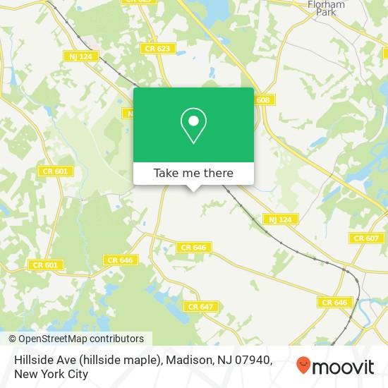 Hillside Ave (hillside maple), Madison, NJ 07940 map