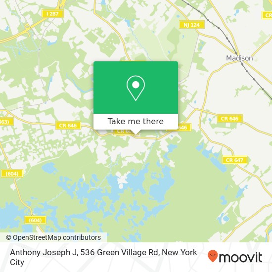 Anthony Joseph J, 536 Green Village Rd map