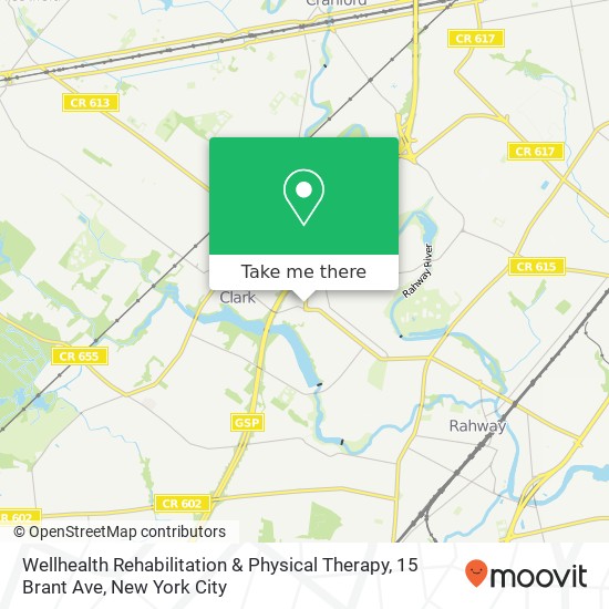 Mapa de Wellhealth Rehabilitation & Physical Therapy, 15 Brant Ave
