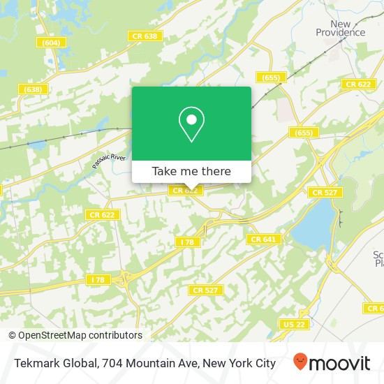 Mapa de Tekmark Global, 704 Mountain Ave