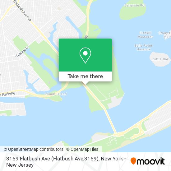 3159 Flatbush Ave (Flatbush Ave,3159) map