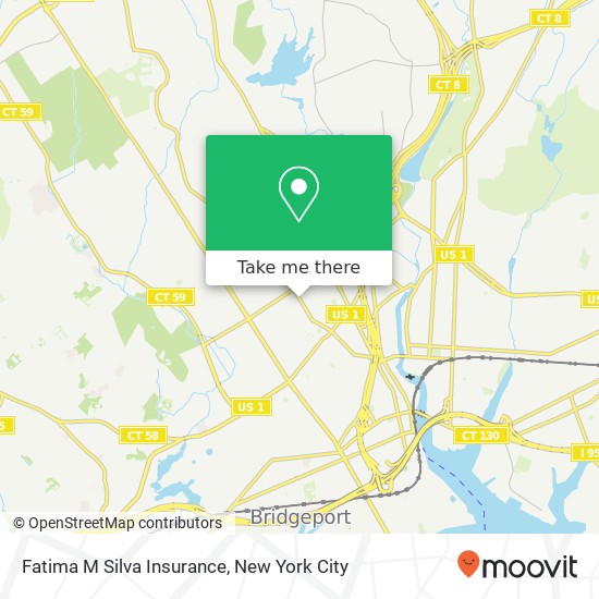 Fatima M Silva Insurance map