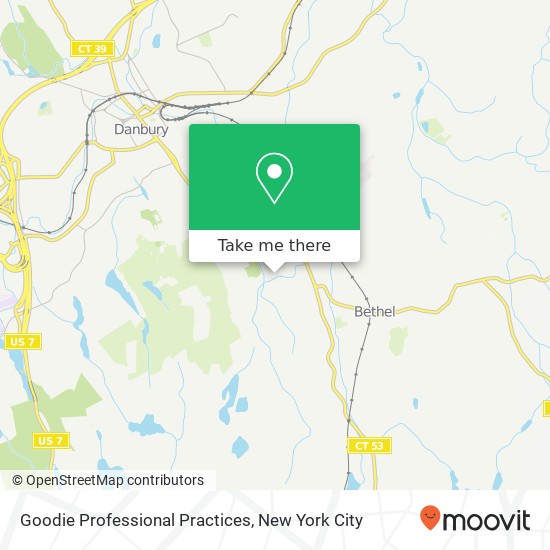 Goodie Professional Practices map