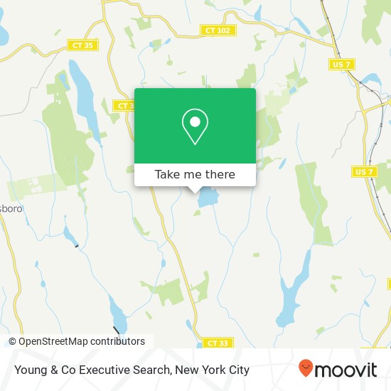 Mapa de Young & Co Executive Search