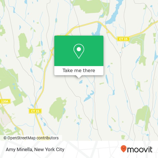 Amy Minella map