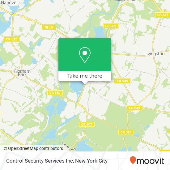 Control Security Services Inc map