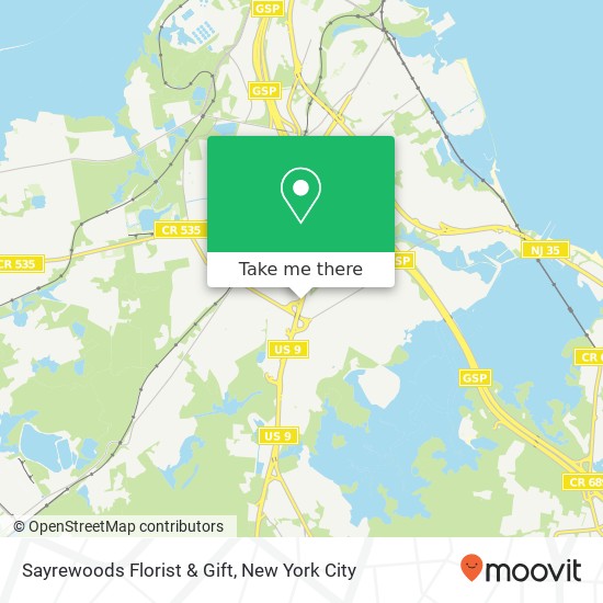 Mapa de Sayrewoods Florist & Gift