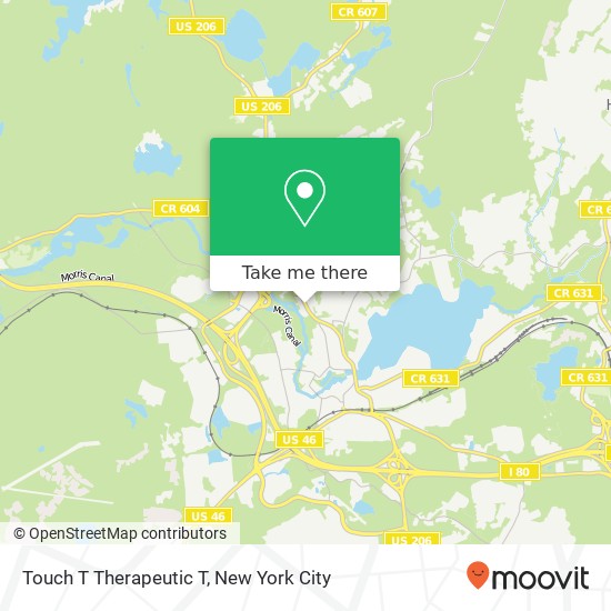 Touch T Therapeutic T map