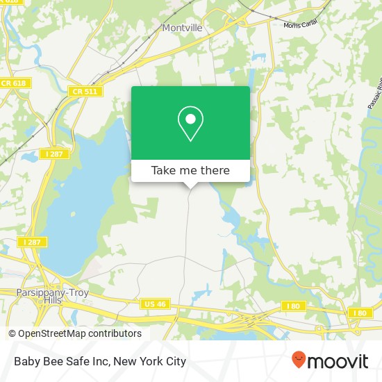 Baby Bee Safe Inc map