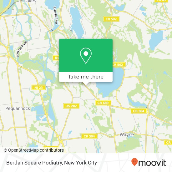 Berdan Square Podiatry map