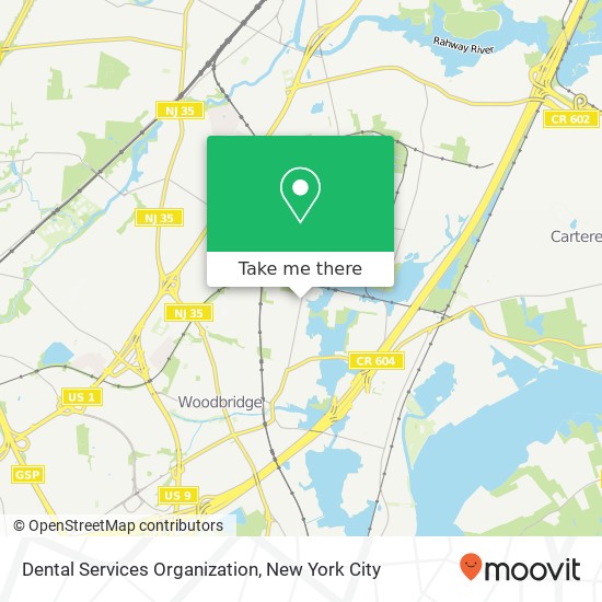 Dental Services Organization map