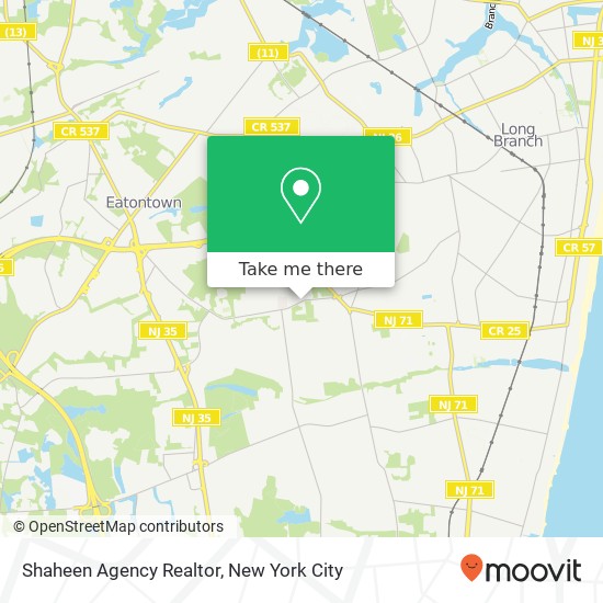 Shaheen Agency Realtor map