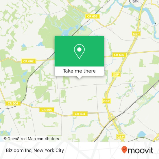 Bizloom Inc map
