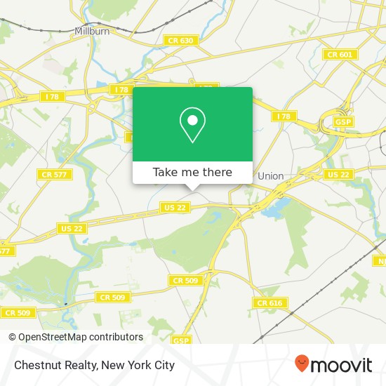 Chestnut Realty map