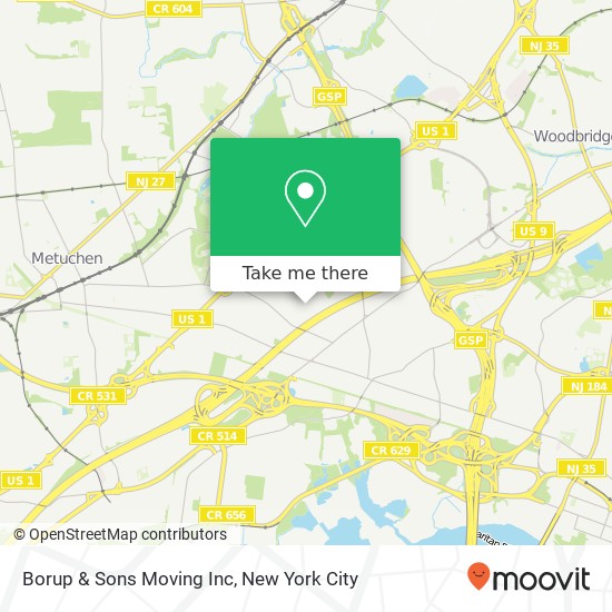 Borup & Sons Moving Inc map