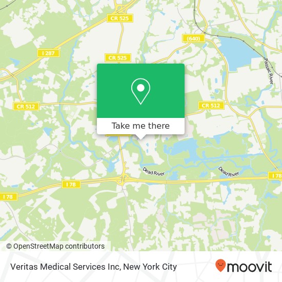 Veritas Medical Services Inc map