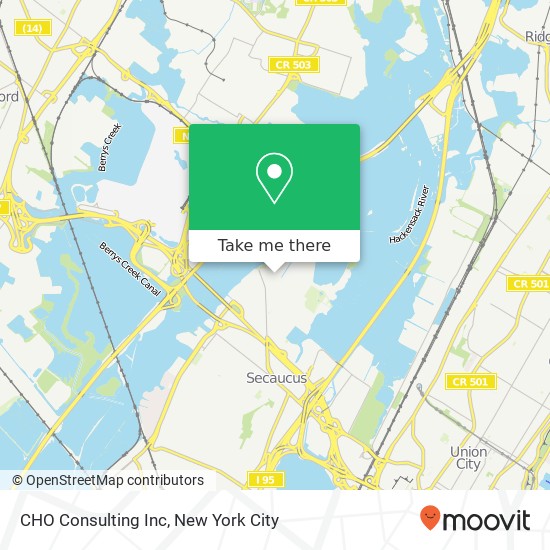 CHO Consulting Inc map