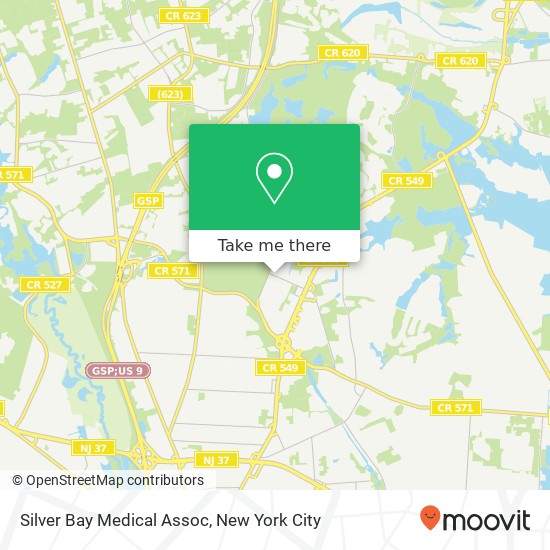 Silver Bay Medical Assoc map