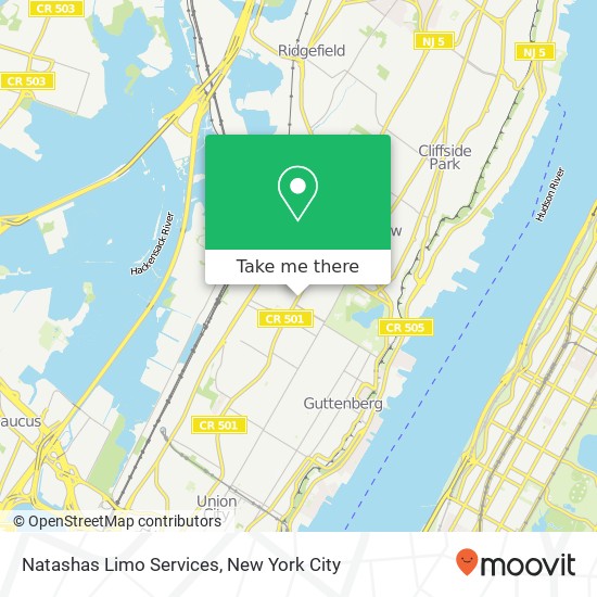 Natashas Limo Services map